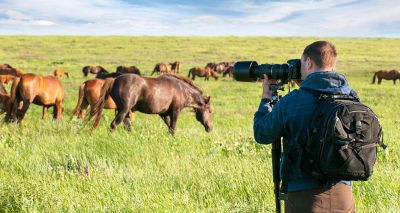 Award-winning wildlife photojournalist joins panel for annual BVA photo competition